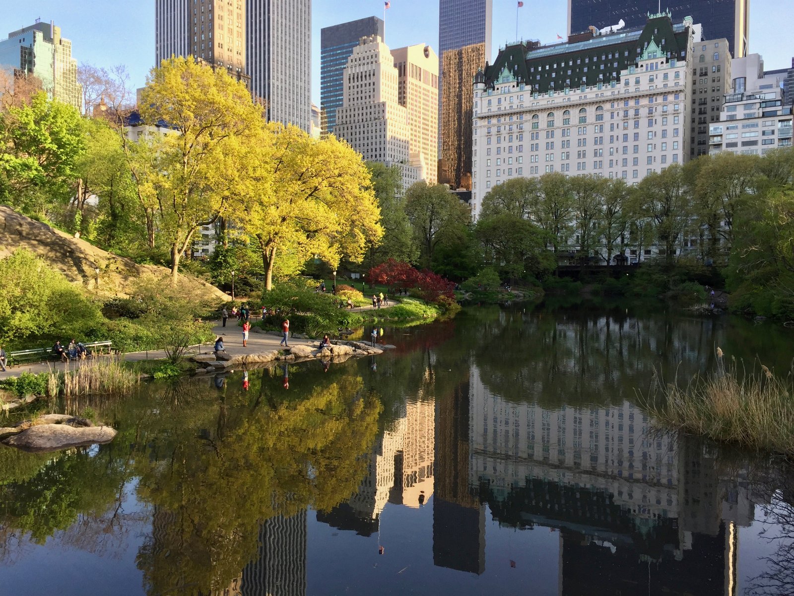 The Pond in Central Park with the Plaza Hotel in the background